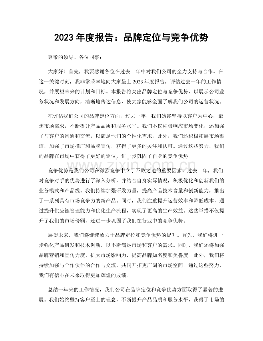 2023年度报告：品牌定位与竞争优势.docx_第1页