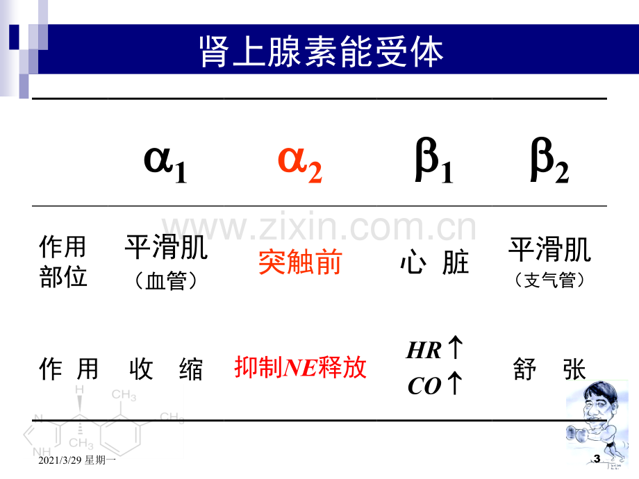 右美托咪定临床应用指导意见的解读.ppt_第3页