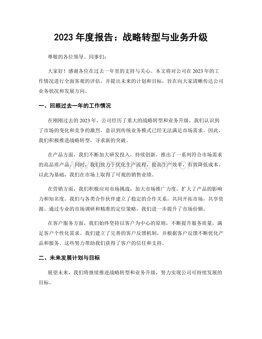 2023年度报告：战略转型与业务升级.docx_第1页