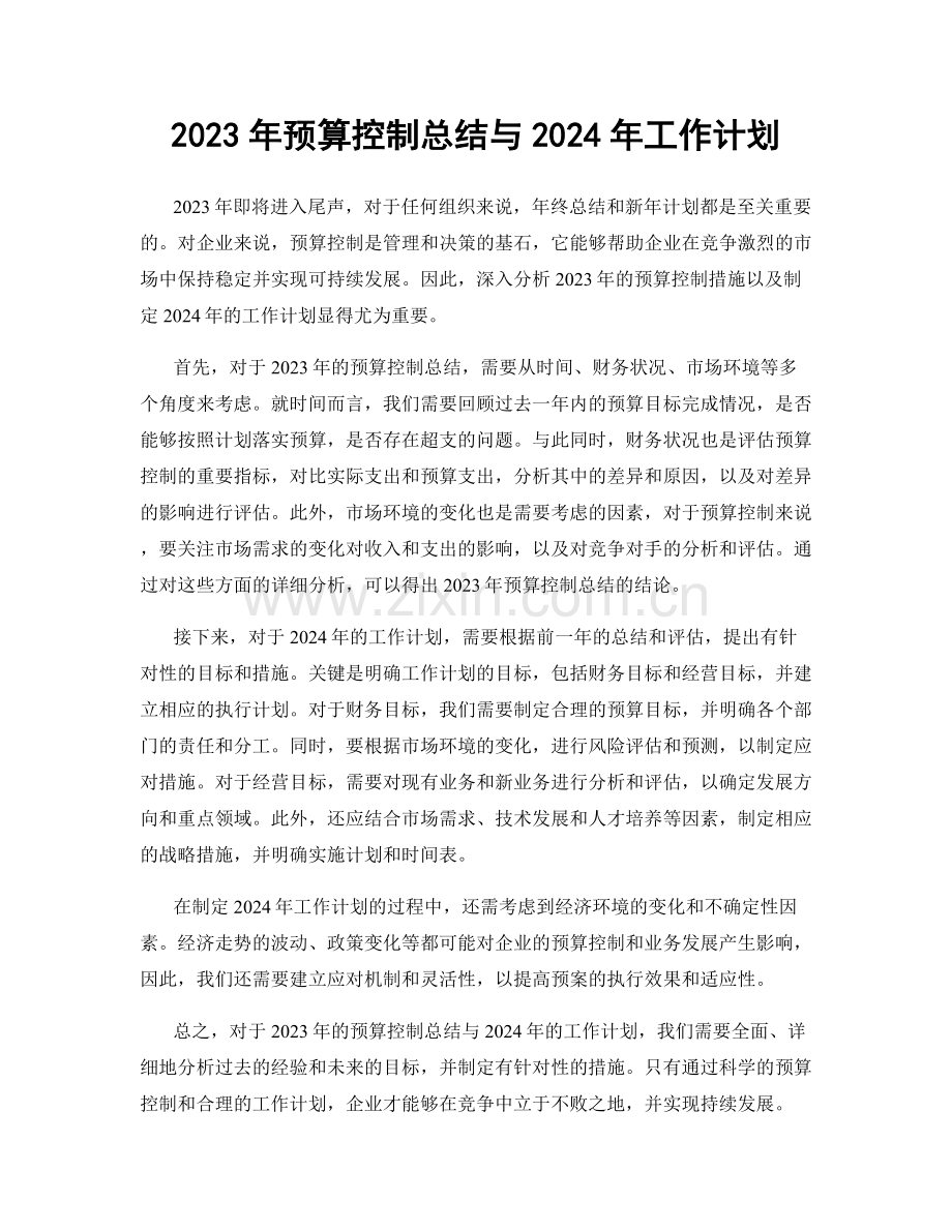 2023年预算控制总结与2024年工作计划.docx_第1页