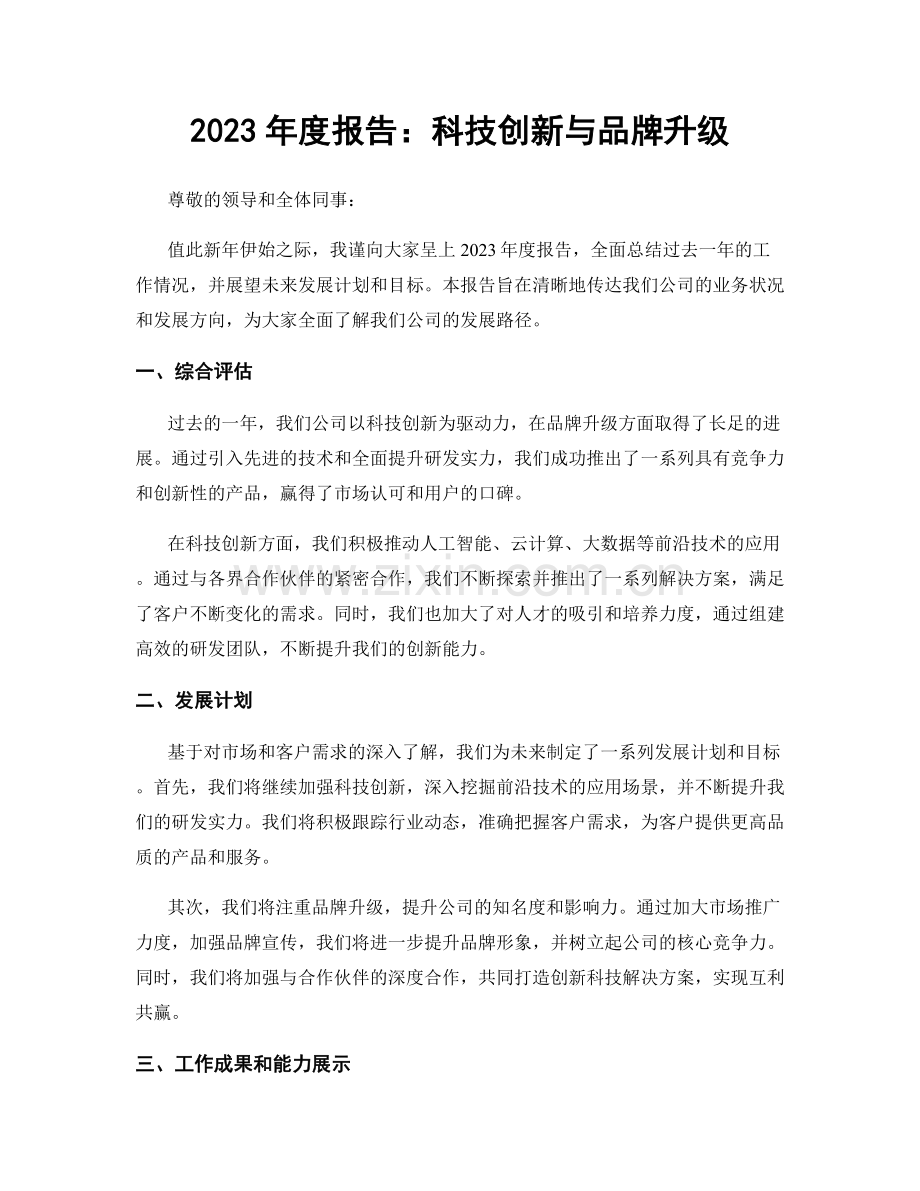 2023年度报告：科技创新与品牌升级.docx_第1页