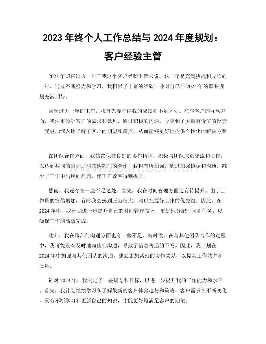 2023年终个人工作总结与2024年度规划：客户经验主管.docx_第1页