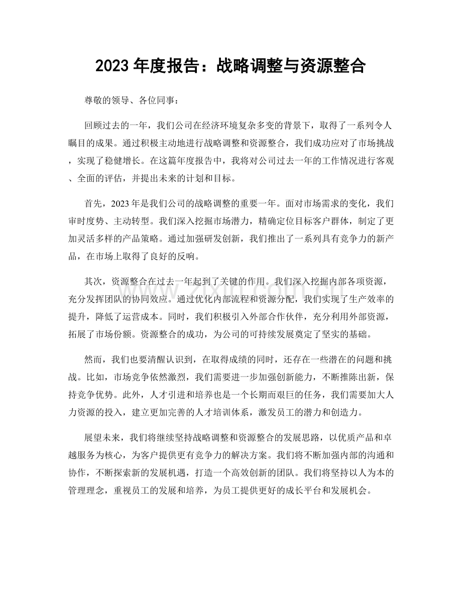 2023年度报告：战略调整与资源整合.docx_第1页