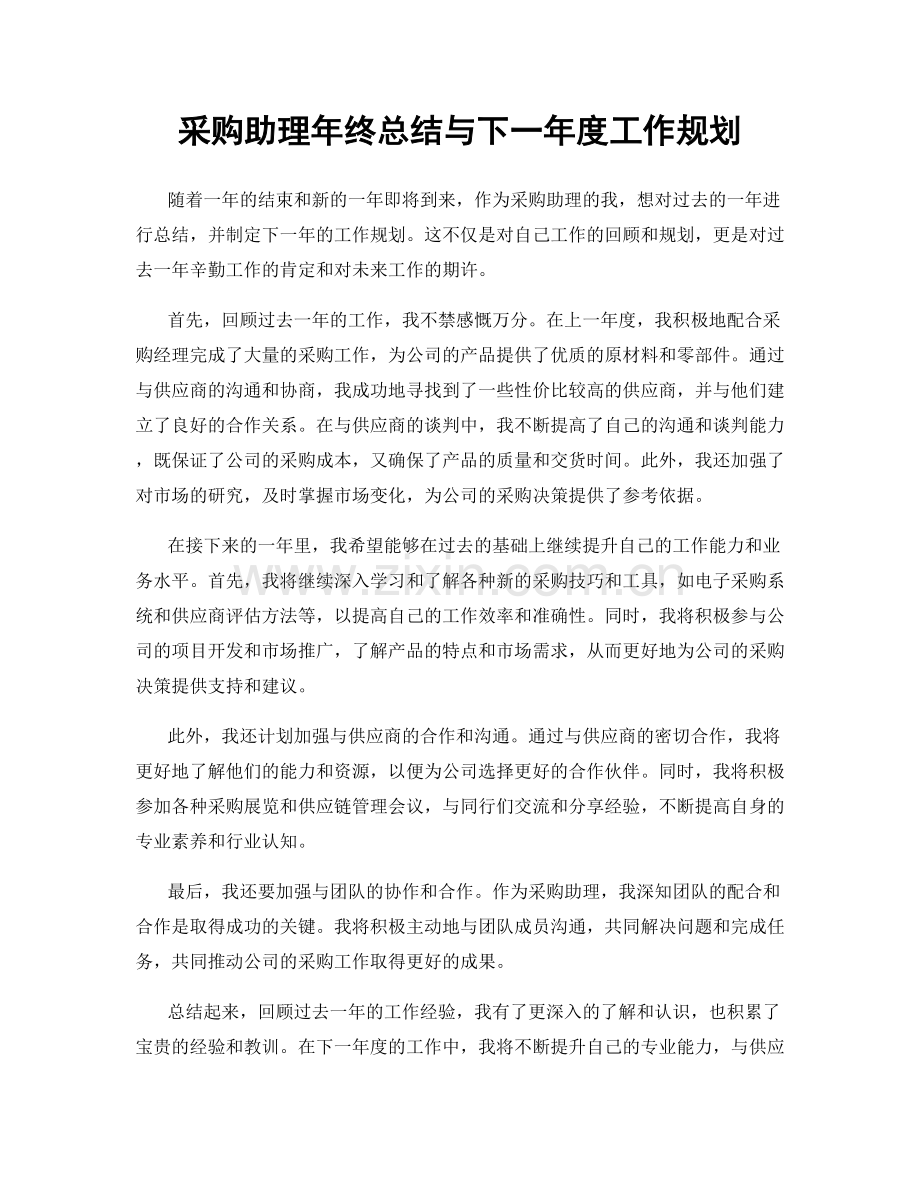 采购助理年终总结与下一年度工作规划.docx_第1页