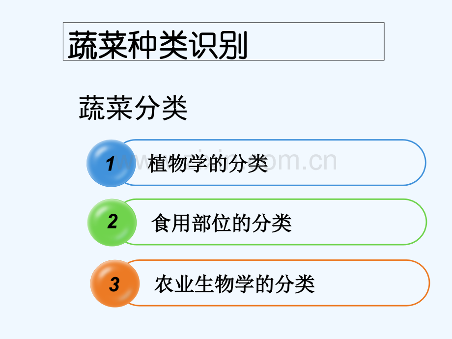 蔬菜基础知识-蔬菜分类-PPT.ppt_第2页