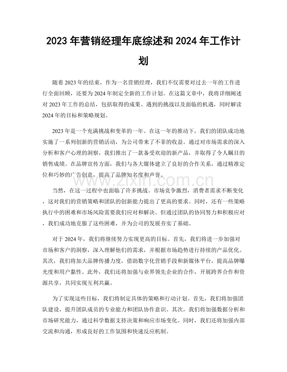 2023年营销经理年底综述和2024年工作计划.docx_第1页