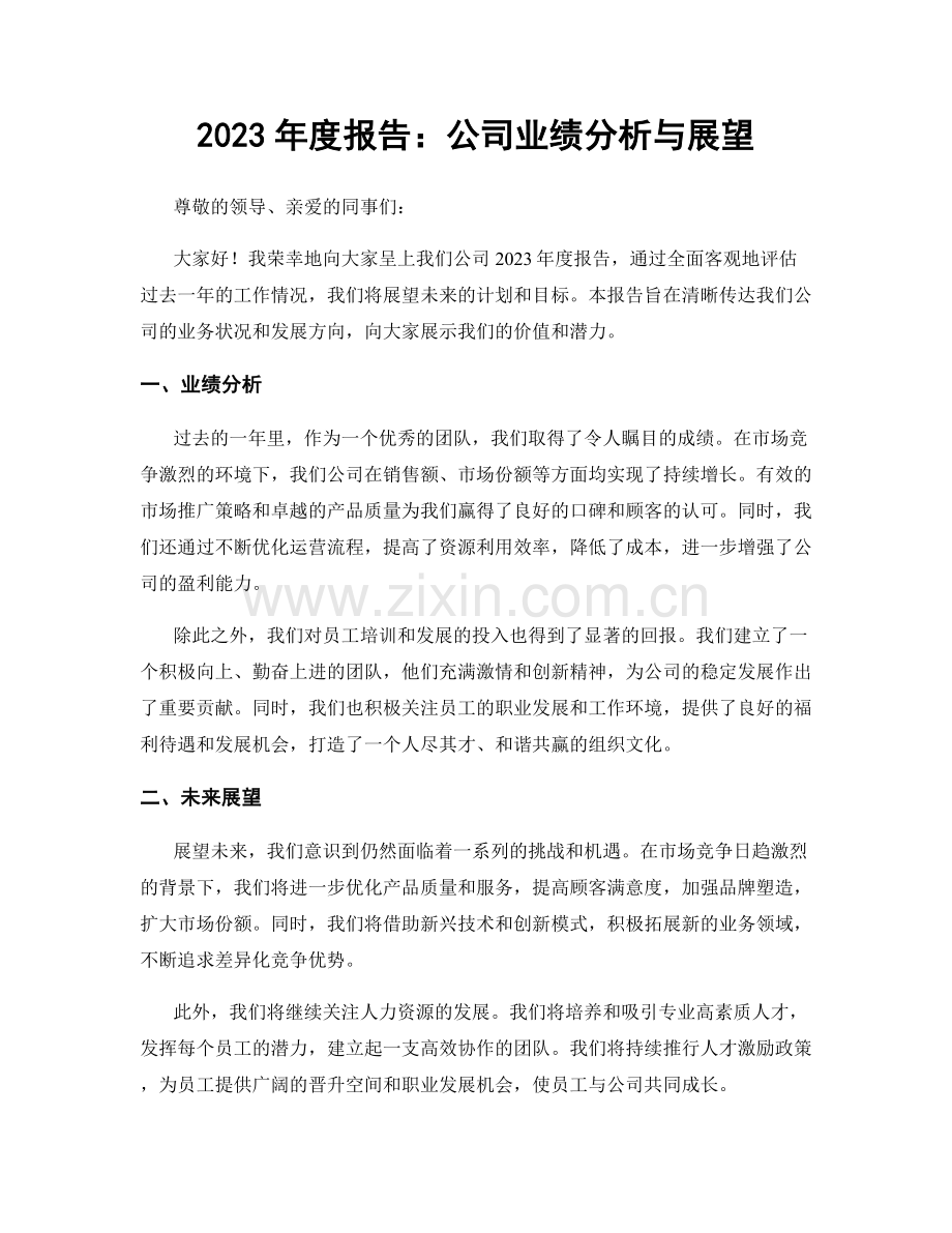 2023年度报告：公司业绩分析与展望.docx_第1页