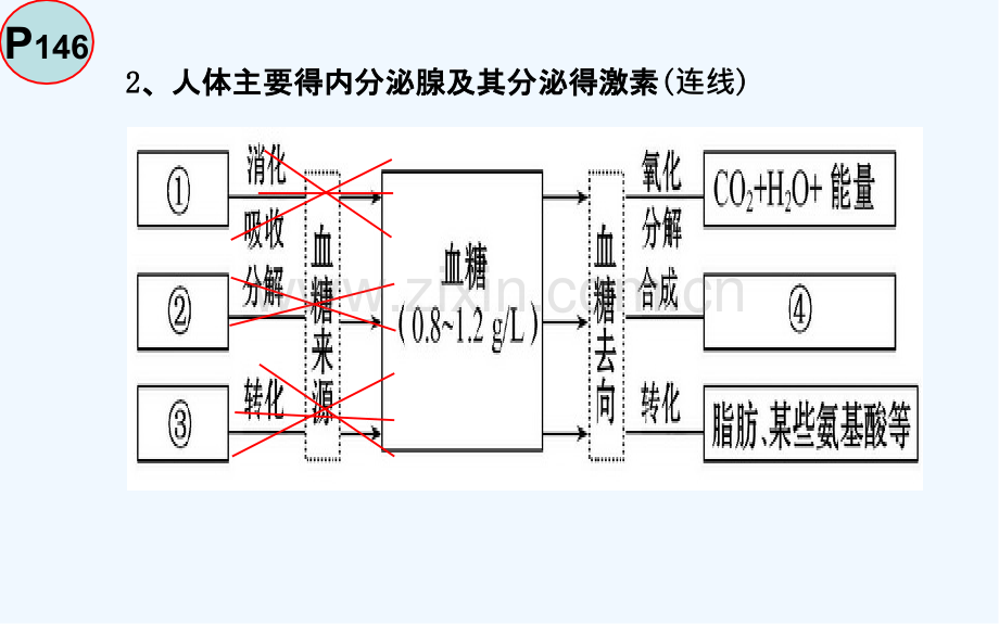 神经与体液调节的关系ppt.pptx_第3页