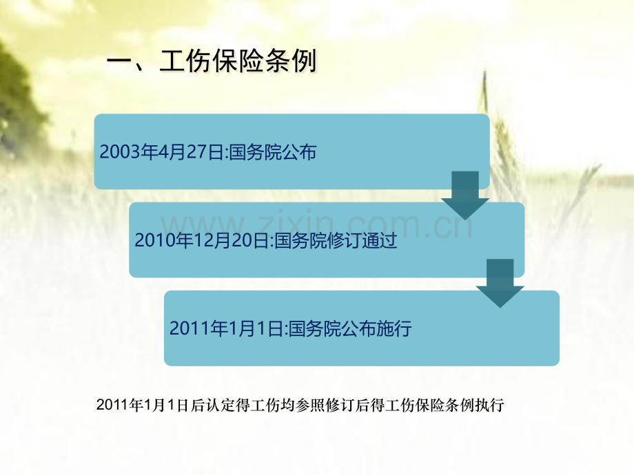 工伤保险待遇及案例分析.pptx_第3页