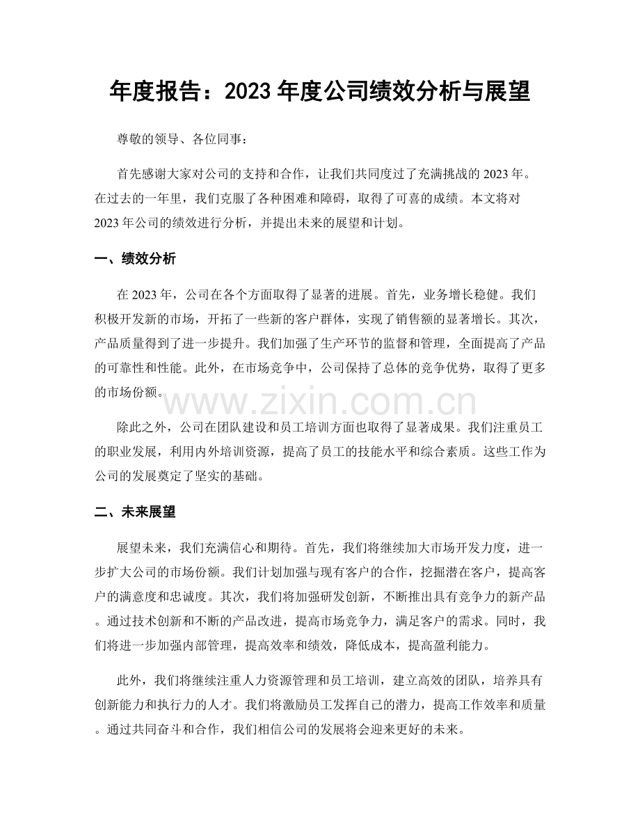 年度报告：2023年度公司绩效分析与展望.docx_第1页