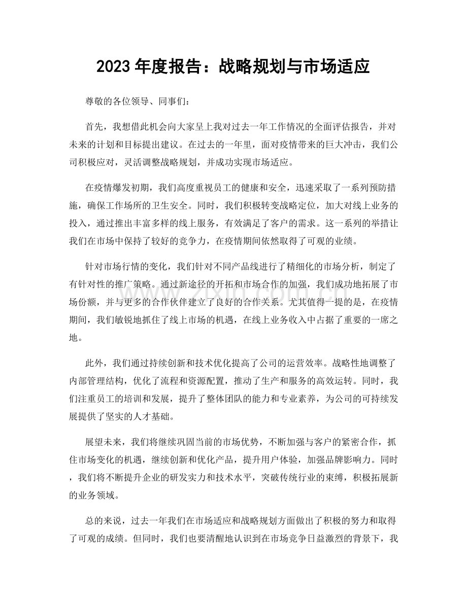 2023年度报告：战略规划与市场适应.docx_第1页