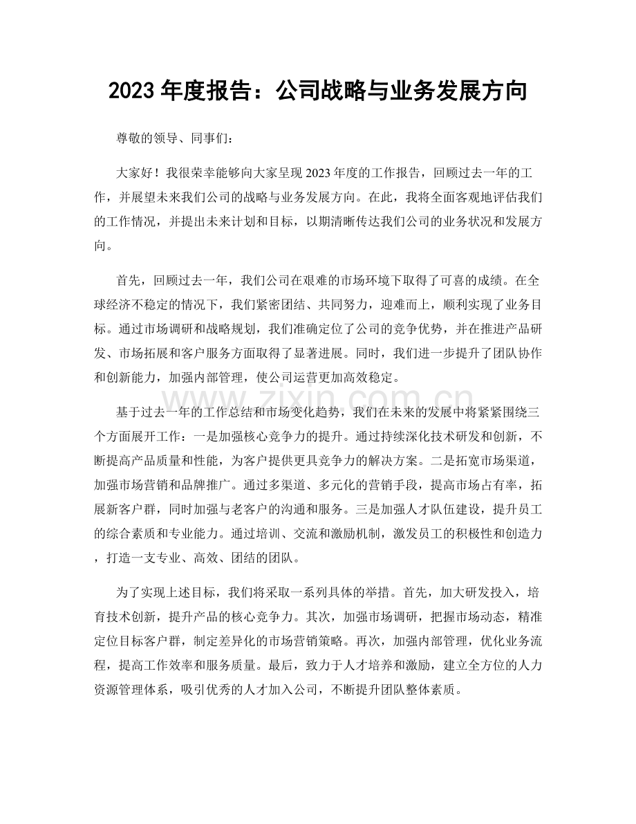 2023年度报告：公司战略与业务发展方向.docx_第1页