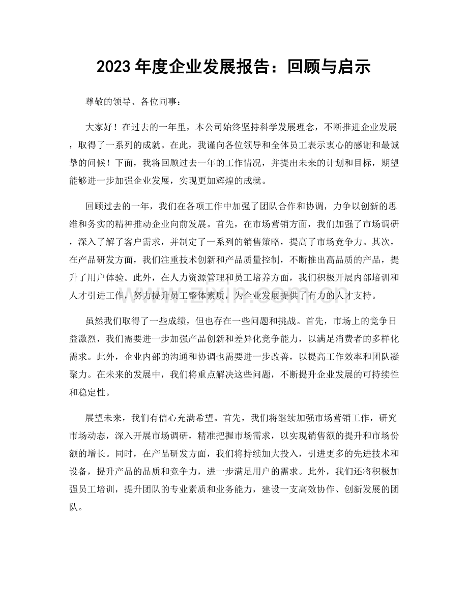 2023年度企业发展报告：回顾与启示.docx_第1页