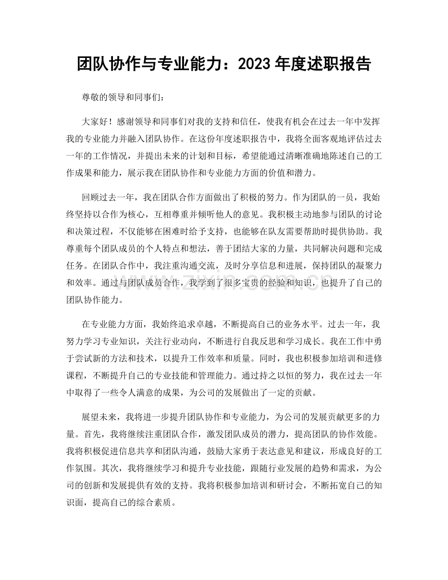 团队协作与专业能力：2023年度述职报告.docx_第1页