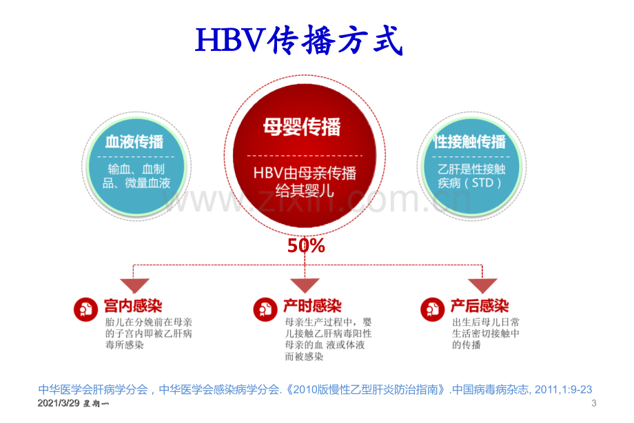 乙肝母婴传播.ppt_第3页