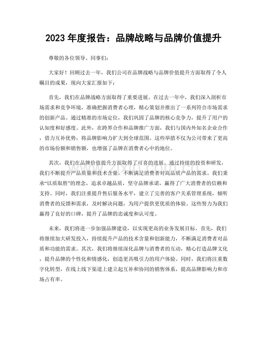 2023年度报告：品牌战略与品牌价值提升.docx_第1页