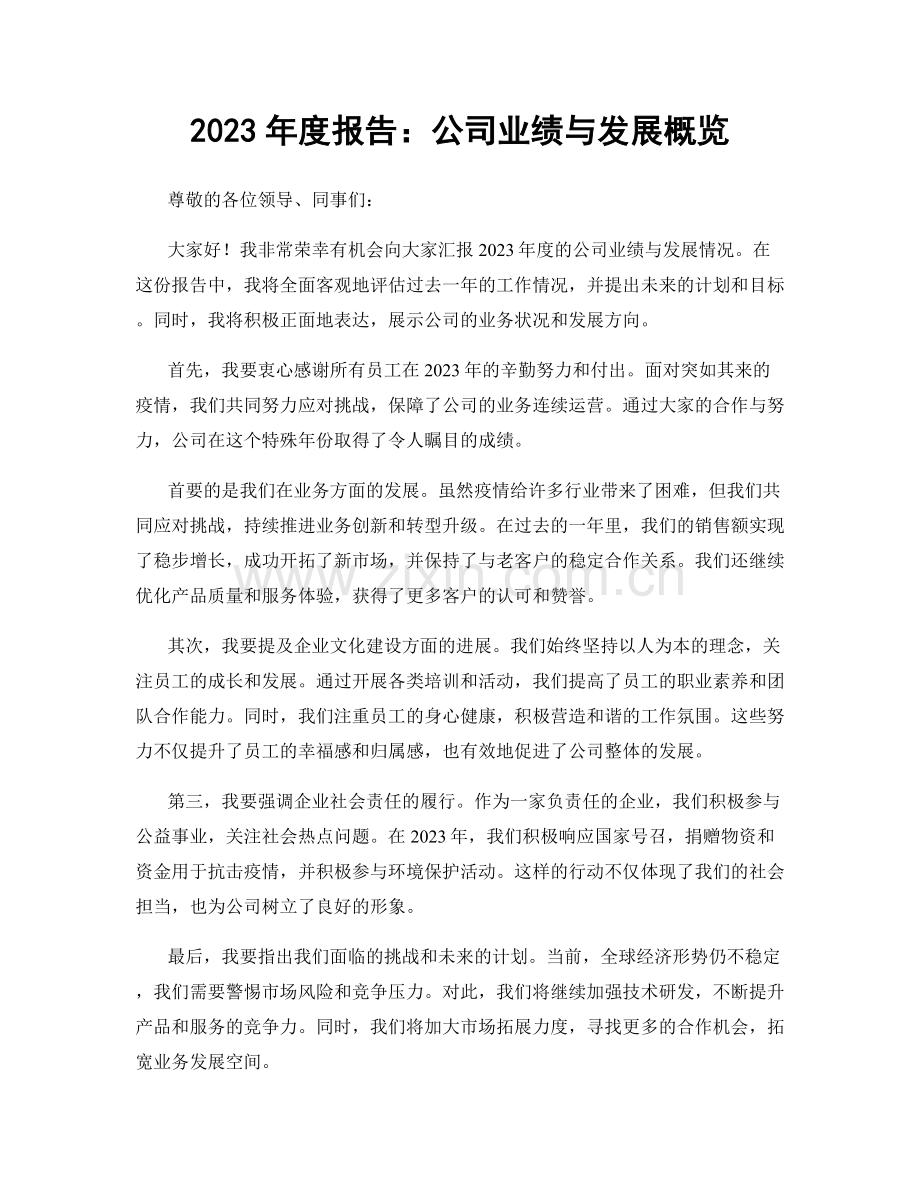 2023年度报告：公司业绩与发展概览.docx_第1页