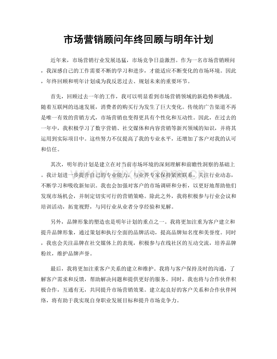 市场营销顾问年终回顾与明年计划.docx_第1页