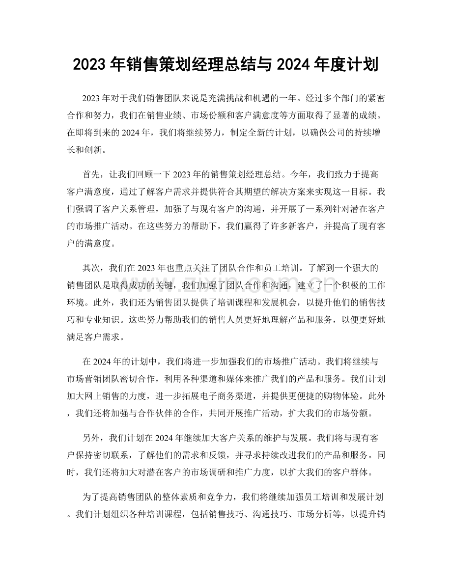 2023年销售策划经理总结与2024年度计划.docx_第1页