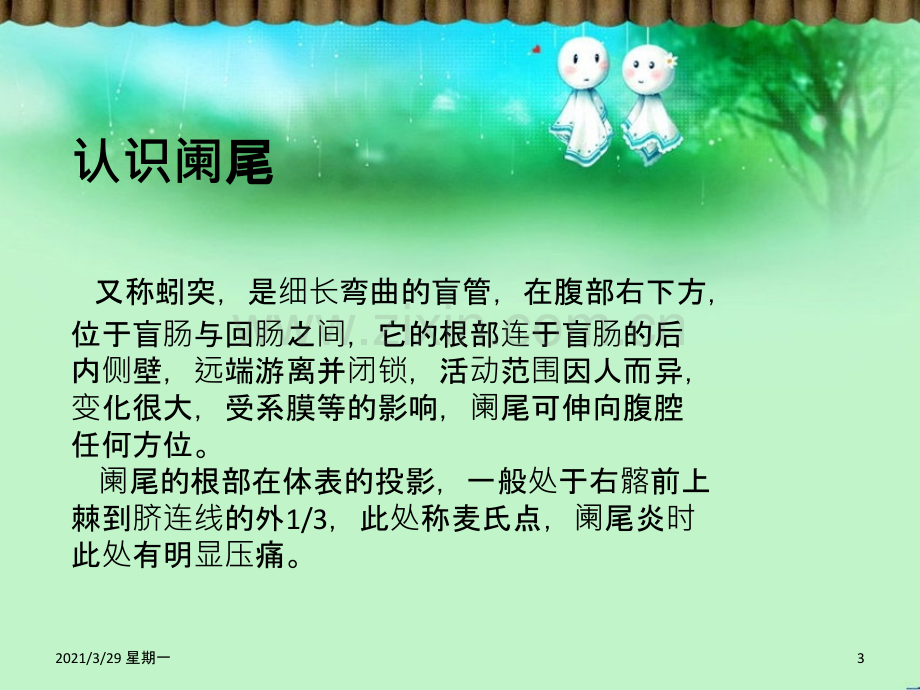 急性阑尾炎的健康教育.ppt_第3页