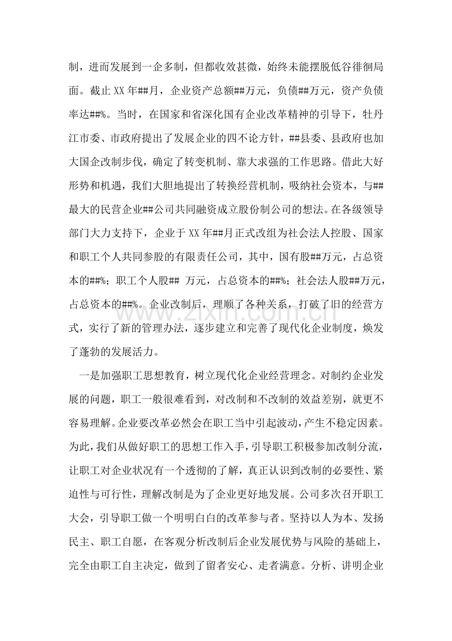 跨国运输企业建设经验材料.doc_第2页