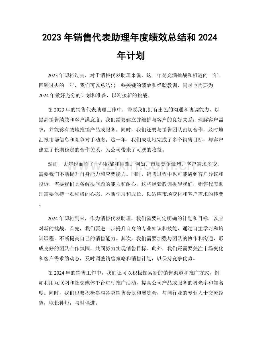 2023年销售代表助理年度绩效总结和2024年计划.docx_第1页