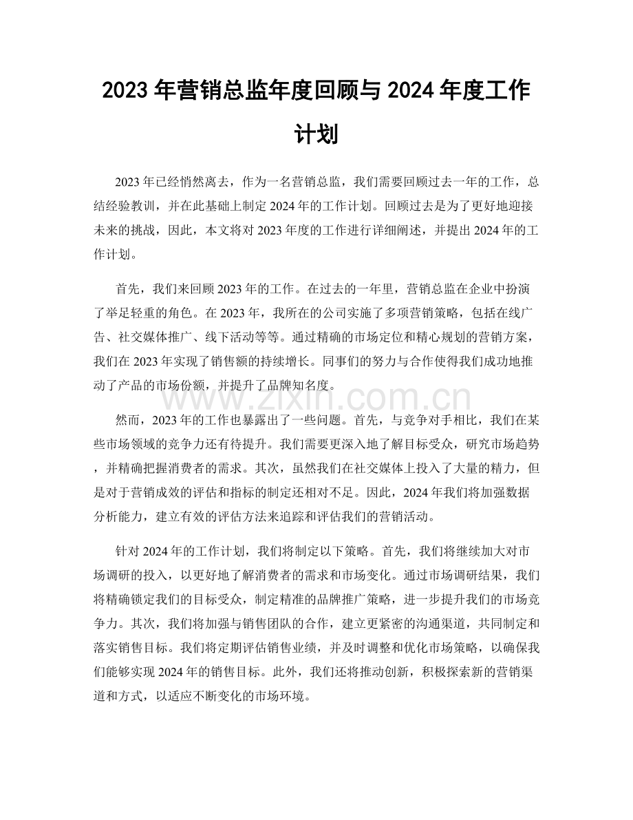 2023年营销总监年度回顾与2024年度工作计划.docx_第1页