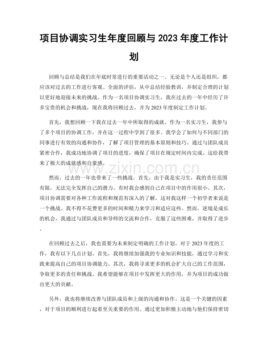 项目协调实习生年度回顾与2023年度工作计划.docx_第1页