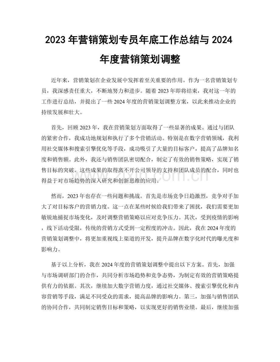 2023年营销策划专员年底工作总结与2024年度营销策划调整.docx_第1页