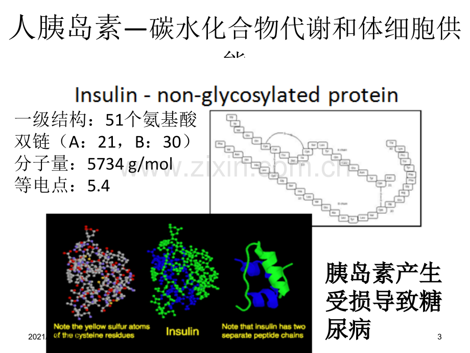 胰岛素生产流程图.ppt_第3页