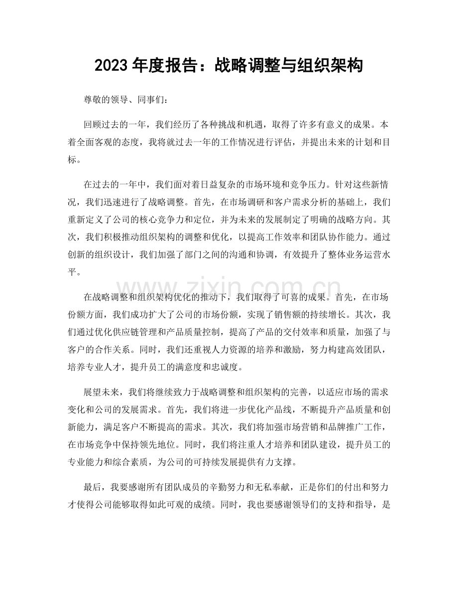 2023年度报告：战略调整与组织架构.docx_第1页