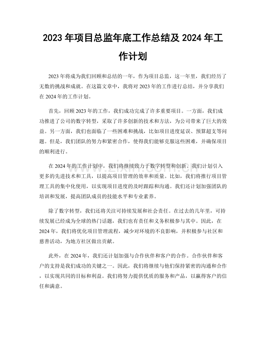 2023年项目总监年底工作总结及2024年工作计划.docx_第1页