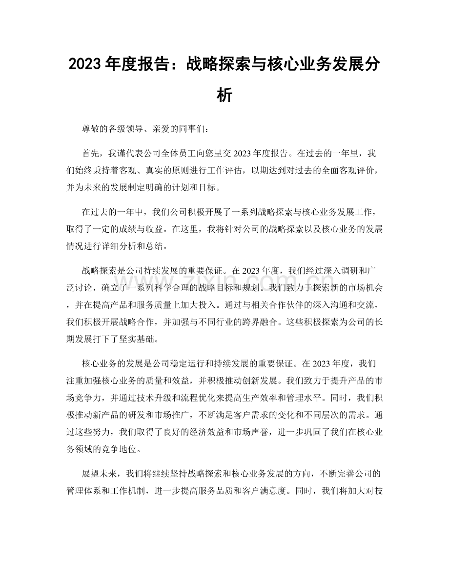 2023年度报告：战略探索与核心业务发展分析.docx_第1页