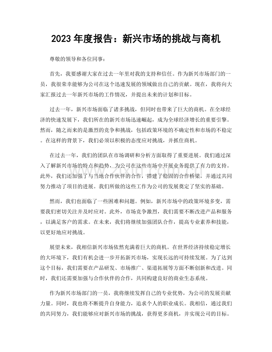 2023年度报告：新兴市场的挑战与商机.docx_第1页