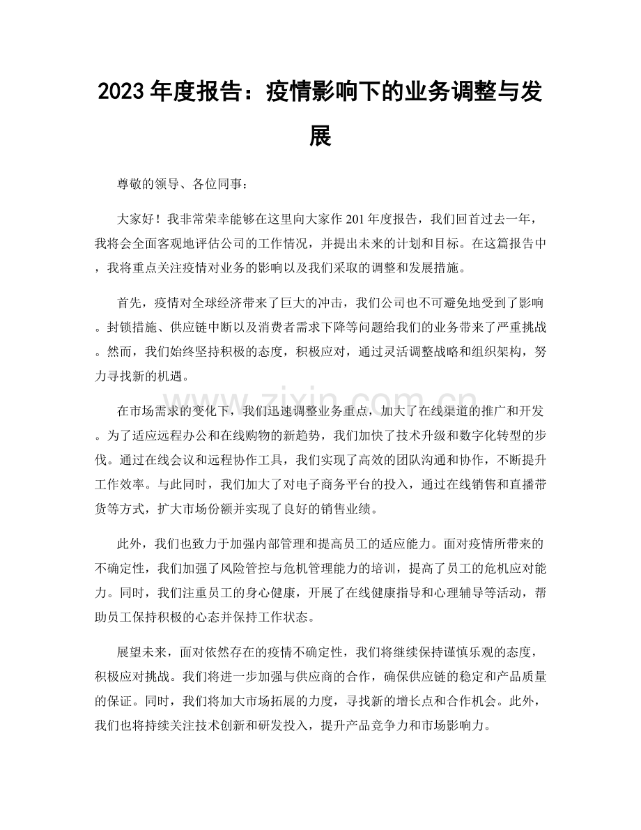 2023年度报告：疫情影响下的业务调整与发展.docx_第1页