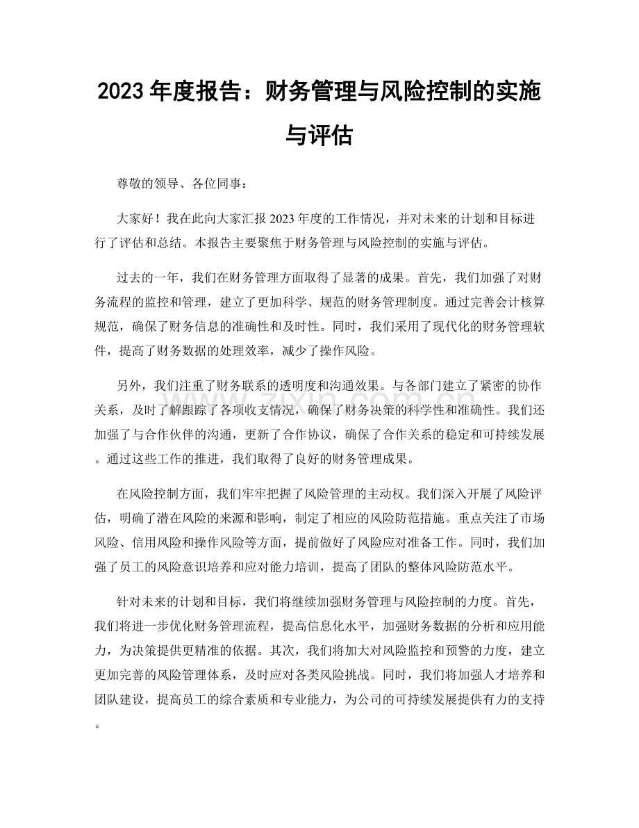 2023年度报告：财务管理与风险控制的实施与评估.docx_第1页