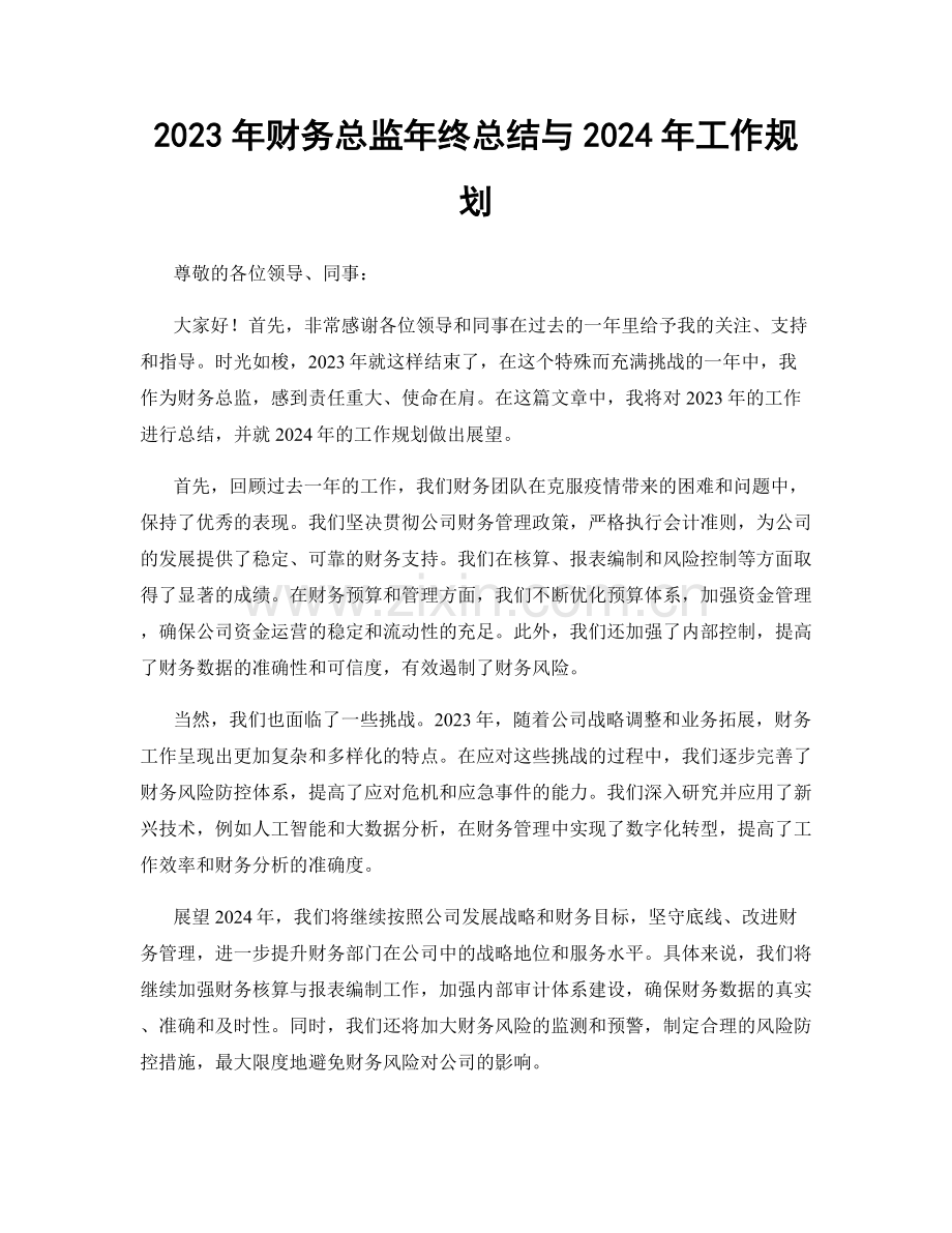 2023年财务总监年终总结与2024年工作规划.docx_第1页