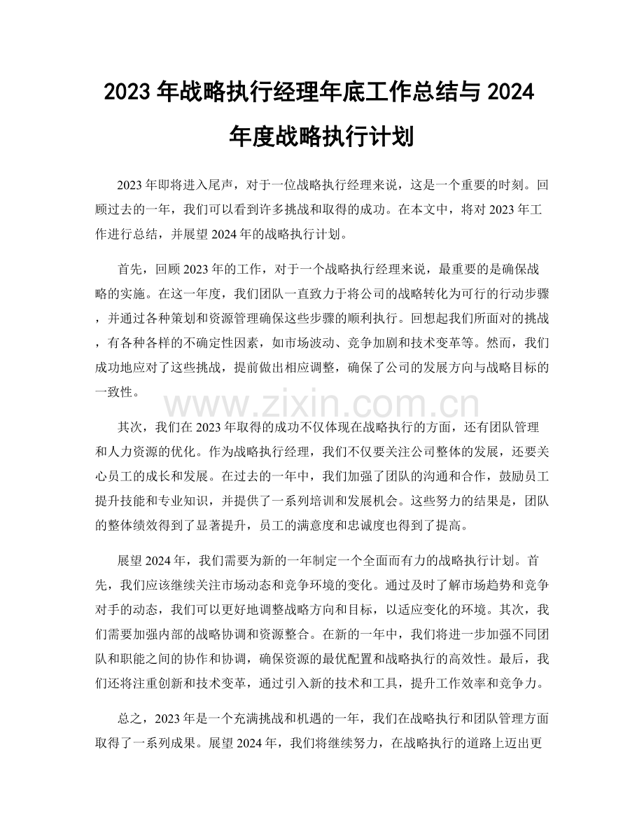 2023年战略执行经理年底工作总结与2024年度战略执行计划.docx_第1页