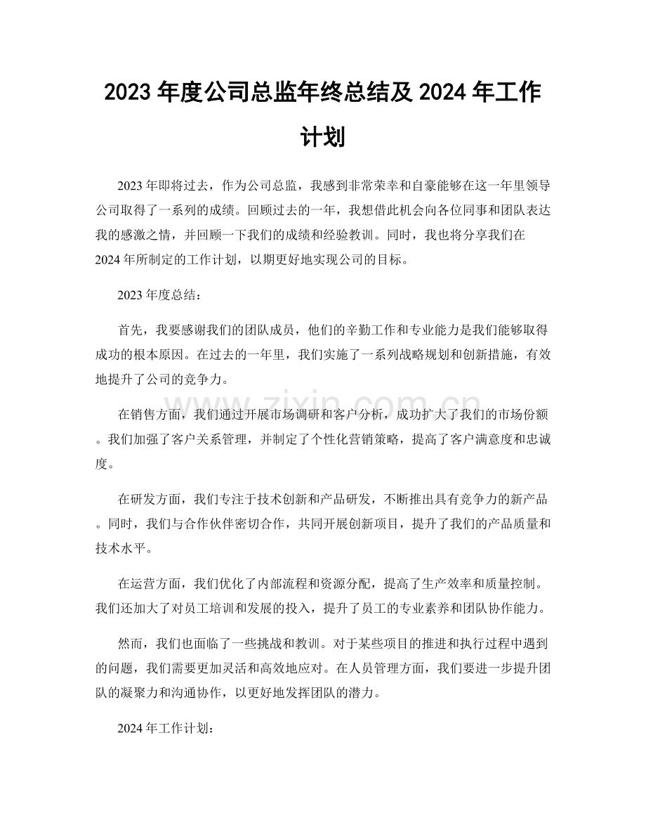 2023年度公司总监年终总结及2024年工作计划.docx_第1页