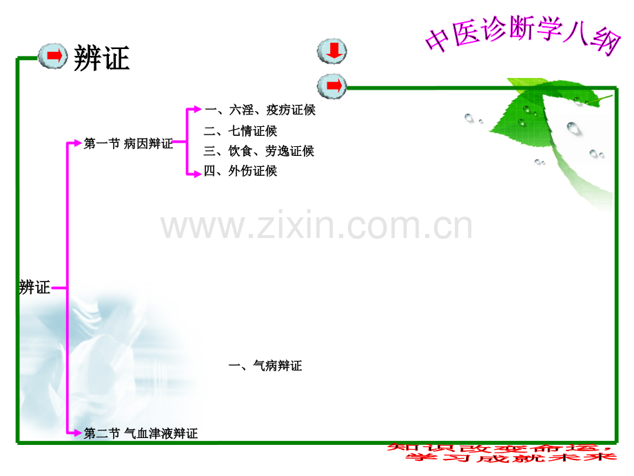 5、中医诊断学—辩证.ppt_第3页