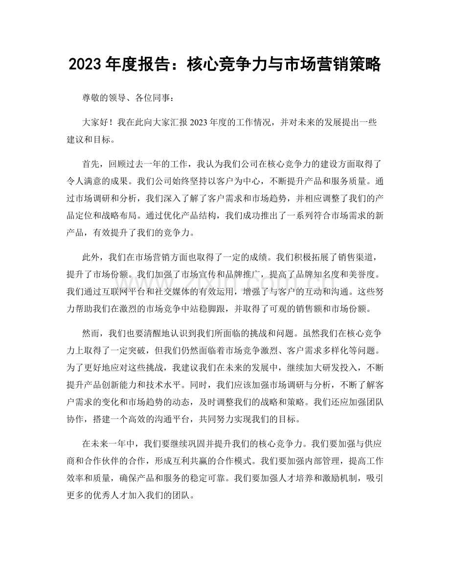 2023年度报告：核心竞争力与市场营销策略.docx_第1页