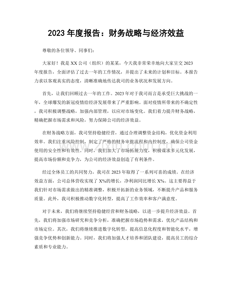 2023年度报告：财务战略与经济效益.docx_第1页