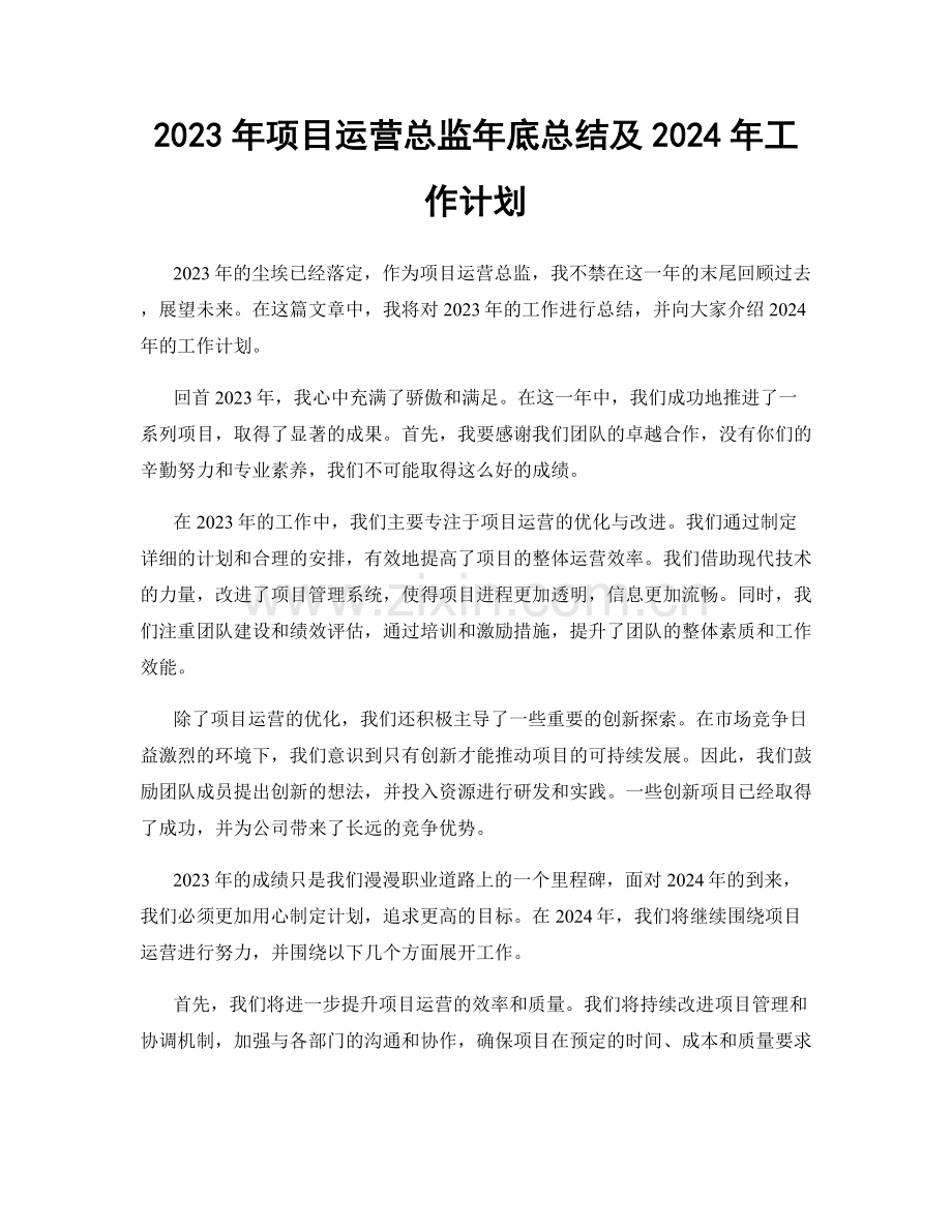 2023年项目运营总监年底总结及2024年工作计划.docx_第1页