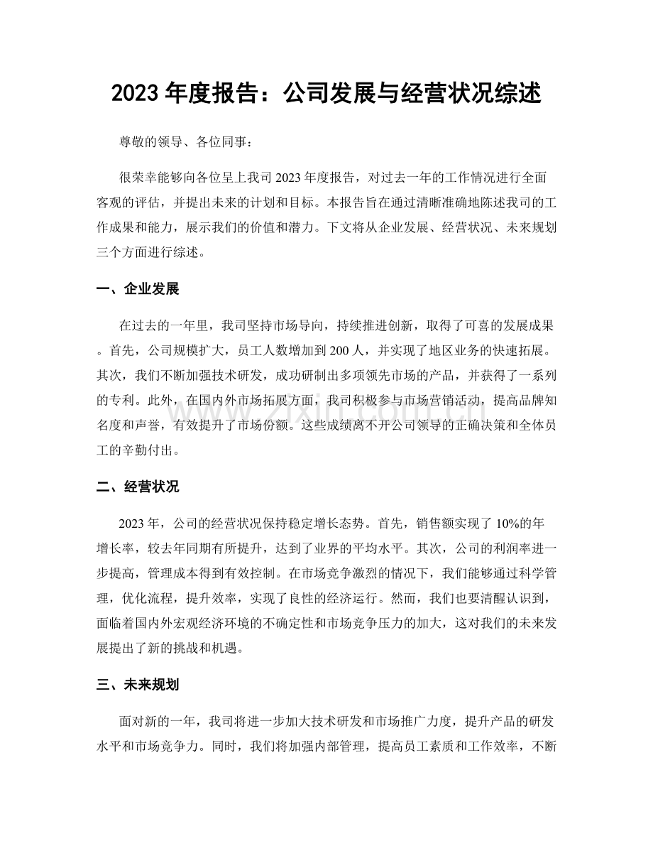 2023年度报告：公司发展与经营状况综述.docx_第1页