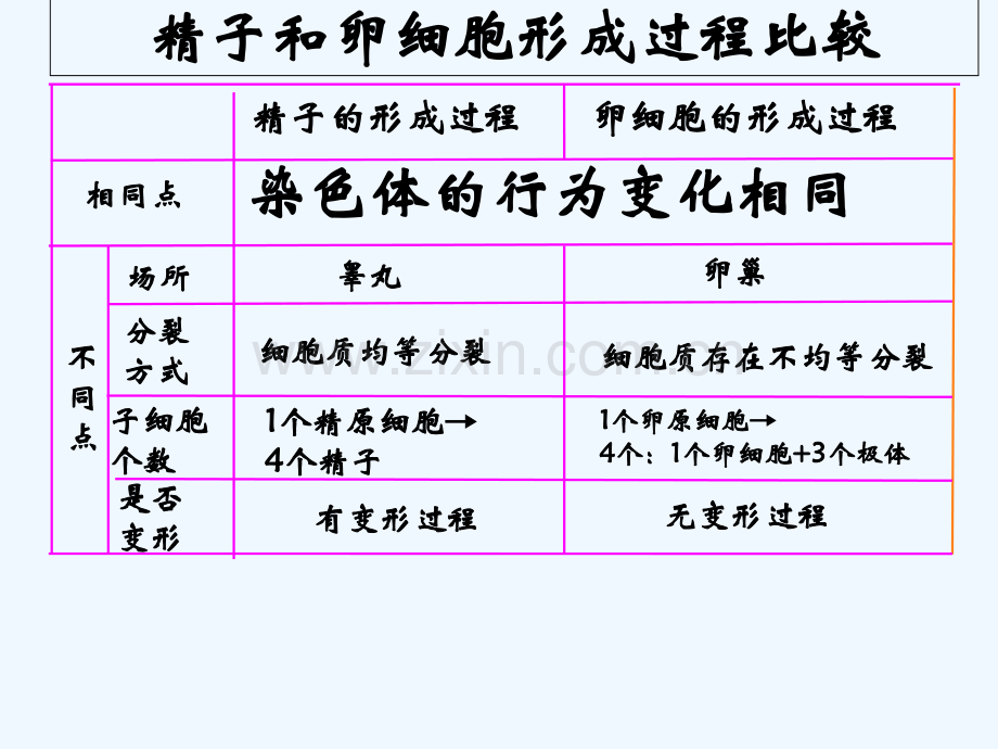 高中生物必修二知识总结-PPT.ppt_第3页