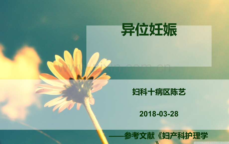 异位妊娠护理查房.ppt_第1页