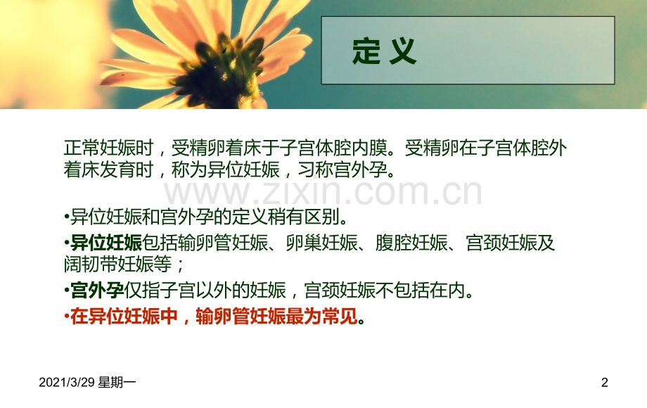 异位妊娠护理查房.ppt_第2页