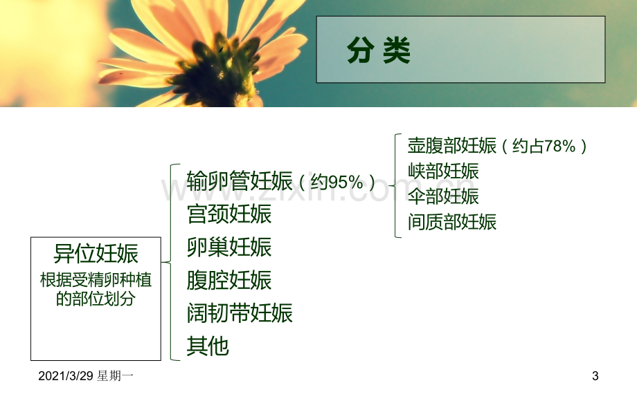 异位妊娠护理查房.ppt_第3页