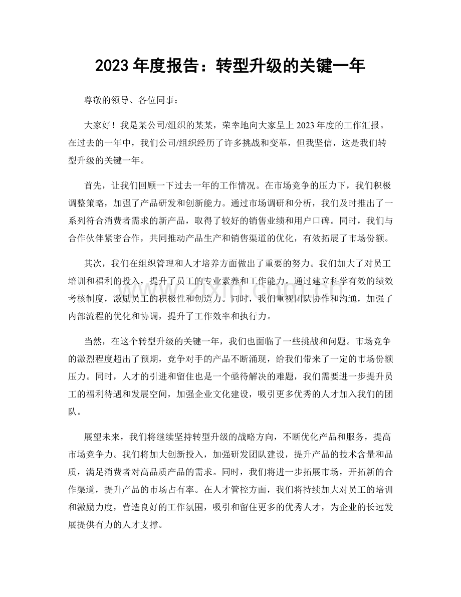 2023年度报告：转型升级的关键一年.docx_第1页