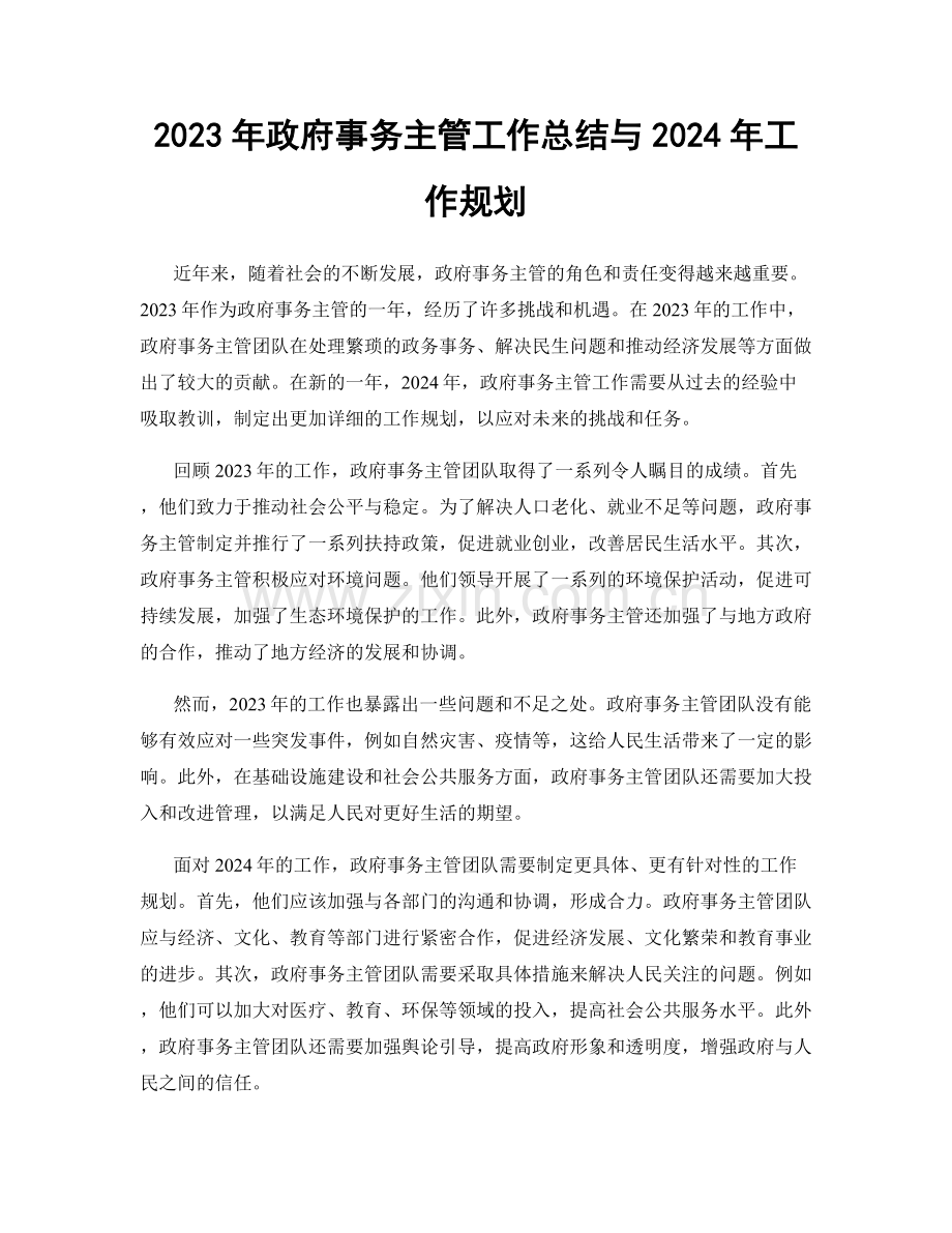 2023年政府事务主管工作总结与2024年工作规划.docx_第1页